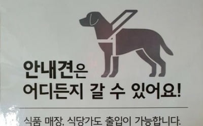 '안내견 논란' 롯데마트, 전 지점에 "안내견 출입 가능" 안내문