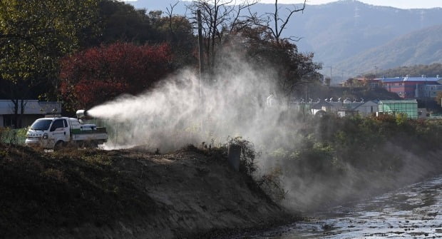 경북 상주시 공성면 산란계 농장에서 고병원성 조류인플루엔자(AI)가 확진됐다./사진=연합뉴스