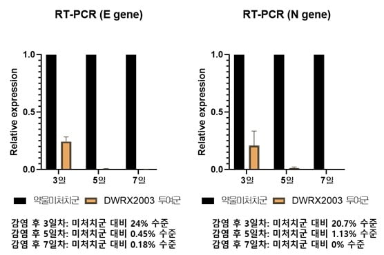 감염 후 3·5·7일차에 적출된 폐 조직에서의 바이러스 유전자 상대 발현율(RT-PCR)./자료 제공=대웅제약