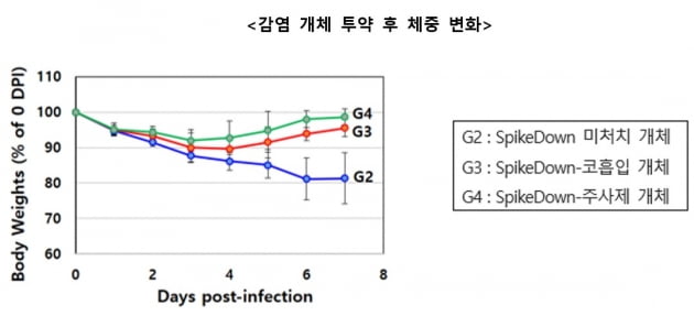 케어젠, 코로나19 펩타이드 치료제 동물실험서 효과 확인