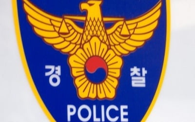 "누나 사업자금 빌려달라" 1억원대 '뒷돈'…경찰관 징역형 선고