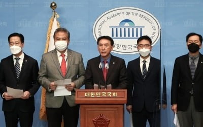 美 하원의원 "대북전단금지법은 위헌"…野 "즉각 중단해야"