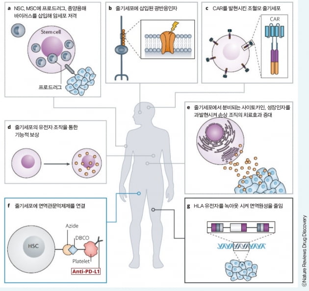 [Cover Story - part.1] 줄기세포 치료제의 ‘넥스트 제너레이션’은?