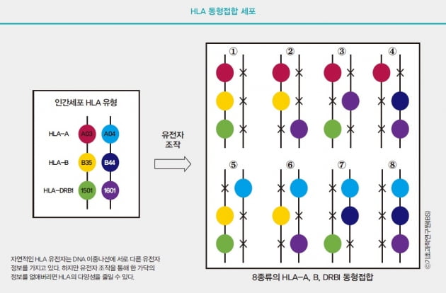 [Cover Story - part.2] 줄기세포 치료제 상업화의 장애요인, 어떻게 극복하고 있나