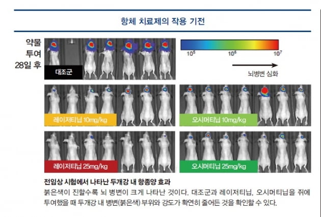 [파이프라인 아카이브] 유한양행 '레이저티닙'