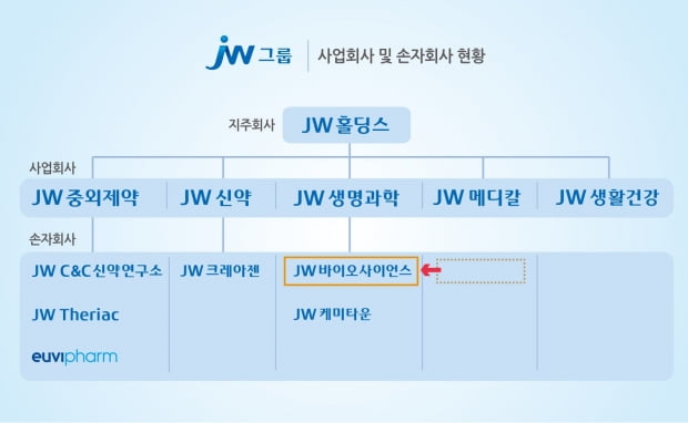 JW그룹 사업회사 및 손자회사 현황자료. 제공=JW홀딩스