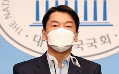 "盧 지지한 천정배처럼"…국민의힘서 安 지지선언 나올까