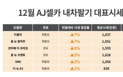 AJ셀카 "12월 중고차 시장, SUV·중형세단 강세"