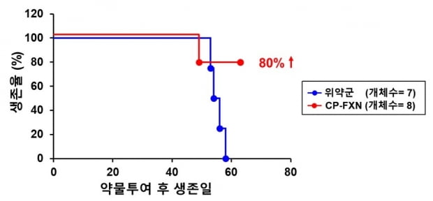 프라탁신 단백질 결핍 심장비대성 심근증 동물실험 결과.