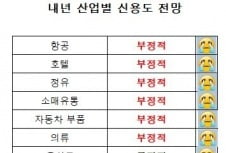 [김은정의 기업워치]유통·의류·정유 등 주요 산업 내년 신용도 전망 '암울'…음식료만 '방긋'