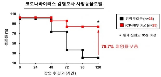 코로나19 바이러스 폐렴으로 사망하는 동물모델 치명률이 iCP-NI 투여군에서 79.7% 낮아짐.