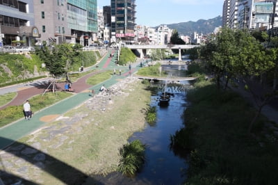 서울 관악구 별빛내린천, 서남권 명소로 재탄생