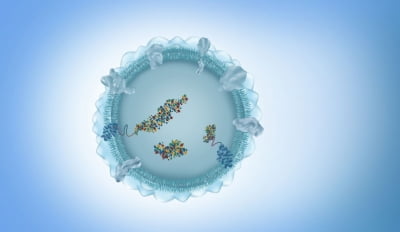 솔바이오, ‘흑색종 피부암’ 엑소좀 진단기술 개발