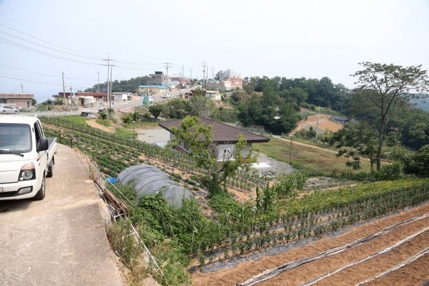 az-news-ai.blogspot.com - 탈원전 피해 주민에 1600만원 받고 끝내라는 정부 - 한국경제