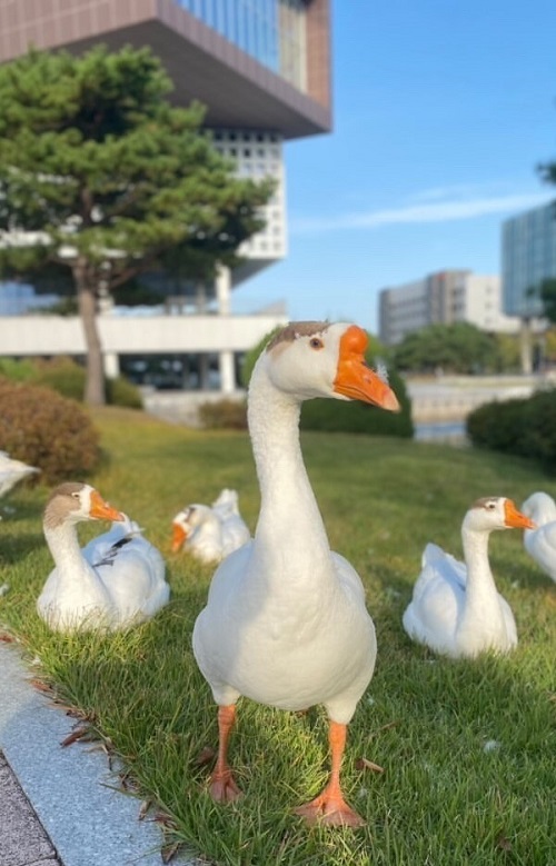 “카이스트에만 있는 연애 핫플레이스 가보셨나요?”