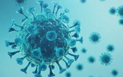 남아공發 코로나19 변이 바이러스…호주서 첫 확인