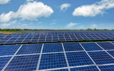  태양광 현물가격 반토막…정부 믿은 사업자들 줄손실