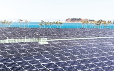 [단독] '태양광 속도전'에 거래價 반토막…정부만 믿은 사업자 줄도산 위기