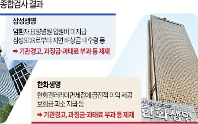 금감원, 한화생명 이어 삼성생명도 제재 '강행'