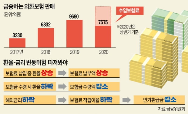 '안전자산' 달러보험이 뜬다…단기 투자는 'NO'