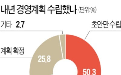 기업 10곳 중 7곳 "아직 내년 경영계획 못 짜"