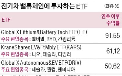 테슬라·니오, 지금 사자니 무섭高 지켜 보자니 괴롭苦