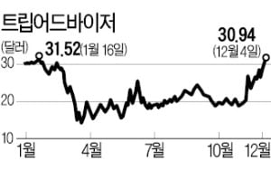 "트립어드바이저·초이스호텔, 저평가 우량株"