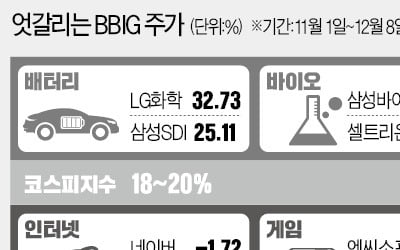 BBIG, 급등장에서 '엇갈린 행보'