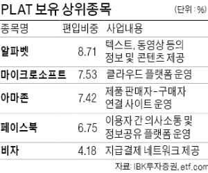 플랫폼 기업 집중 투자 ETF 뜬다는데…