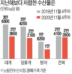 지역축제 줄취소…수출도 막혀, '겨울 별미' 방어·꽃게값 싸졌네