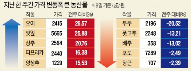 '집밥' 늘자…오이·깻잎·상추값 20% 올라