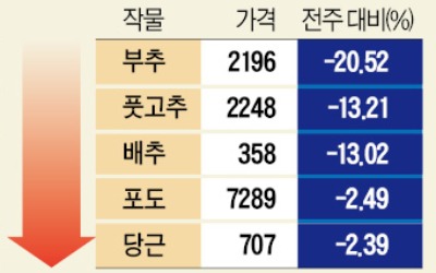 '집밥' 늘자…오이·깻잎·상추값 20% 올라