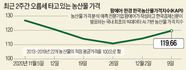 '집밥' 늘자…오이·깻잎·상추값 20% 올라