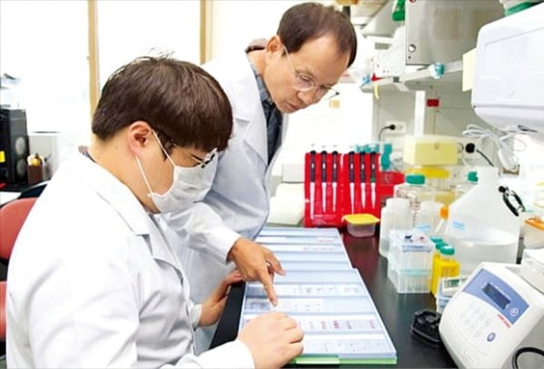 한국생명공학연구원 노화제어전문연구단이 콜레스테롤의 합성에 관여하는 조절단백질에 대한 연구를 하고 있다.