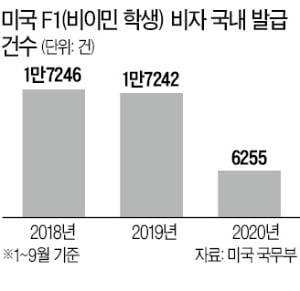 귀국한 '랜선 유학생'들 "밤낮 바뀐 폐인생활"