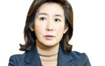 나경원 "서울시장 선거 쉽지 않을 것…우파 역량 엮을 방법 고민"