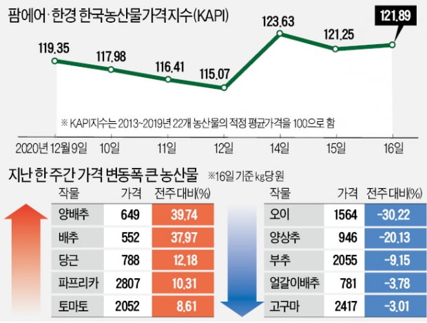 기습 한파…양배추값 40%·배추값 38% 치솟아