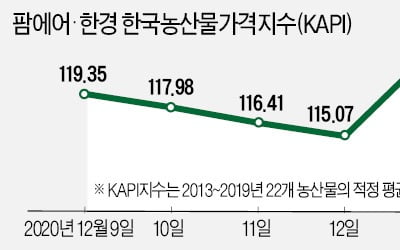 기습 한파…양배추값 40%·배추값 38% 치솟아