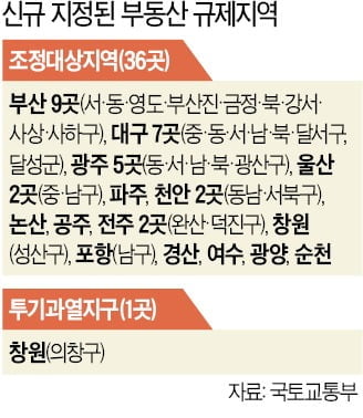 "이럴 줄 알고 OO 아파트 샀어요"…뛰는 규제 위에 나는 시장