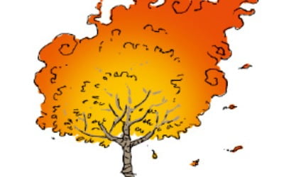 [이 아침의 시] 가을을 던지는 나무 - 이수명(1965~)