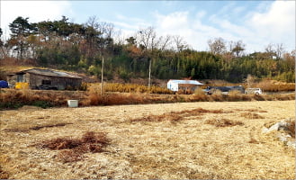 [한경 매물마당] 연 11.5%, 메디컬상가 대형 치과병원 등 12건