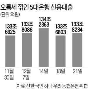 국민, 2천만원 넘는 신용대출 중단…신한, 영업점 신규 대출 접수도 스톱