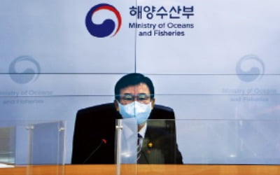 '한국형 해운동맹' 결성…동남아 항로 경쟁력 높아진다