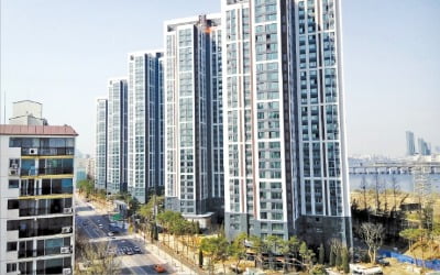 몸값 뛰는 강남 신축…'아크로리버뷰'도 1억