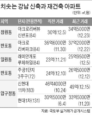 몸값 뛰는 강남 신축…'아크로리버뷰'도 1억