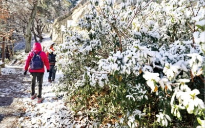 [포토] 눈 쌓인 부산 금정산