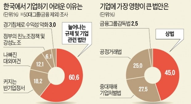 "기업 옥죄는 상법 가장 위협적…내년 경영전략 다 바꿔야할 판"