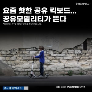 [영상 뉴스] 요즘 핫한 공유 킥보드...공유모빌리티가 뜬다