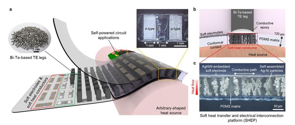 [사이테크 플러스] '피부 체온으로 전력 생산'…고효율 신축성 열전소자 개발