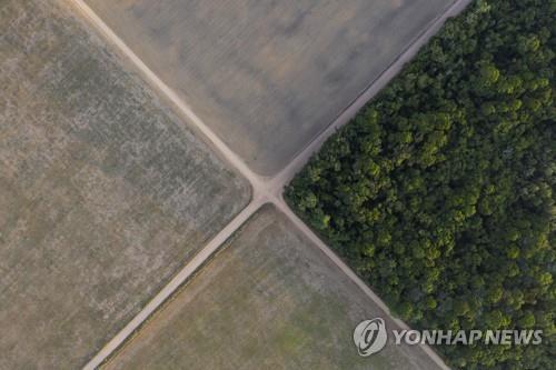 숲 가꾸기 통한 CO₂ 저감 비용 연간 432조6천억